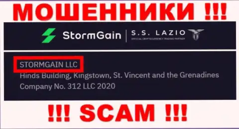 Информация о юридическом лице StormGain - им является компания STORMGAIN LLC
