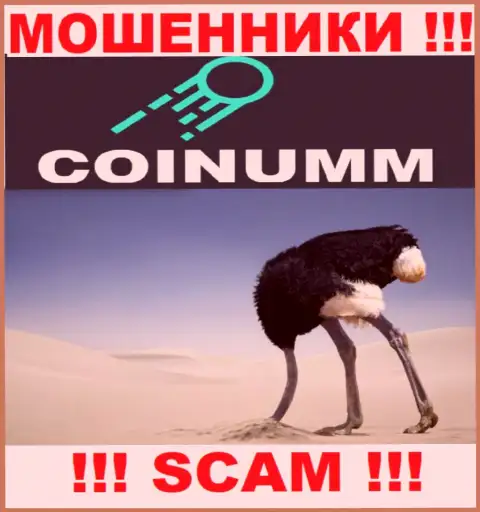 Компания Coinumm Com не имеет регулятора и лицензионного документа на право осуществления деятельности
