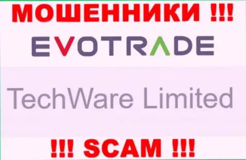 Юр лицом Эво Трейд является - TechWare Limited