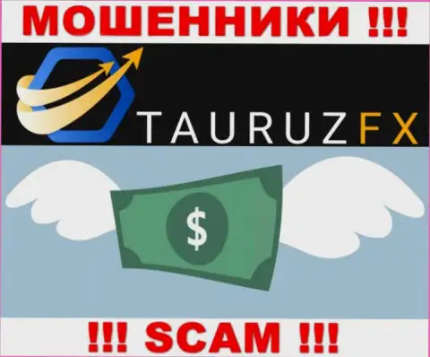 Дилинговая организация TauruzFX работает только лишь на ввод денежных активов, с ними Вы абсолютно ничего не заработаете