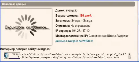Возраст домена ФОРЕКС дилинговой организации Сварга, согласно справочной инфы, которая получена на сайте довериевсети рф