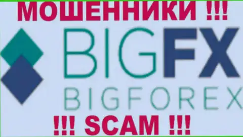 BigFX Net - это МОШЕННИК !!! SCAM !!!